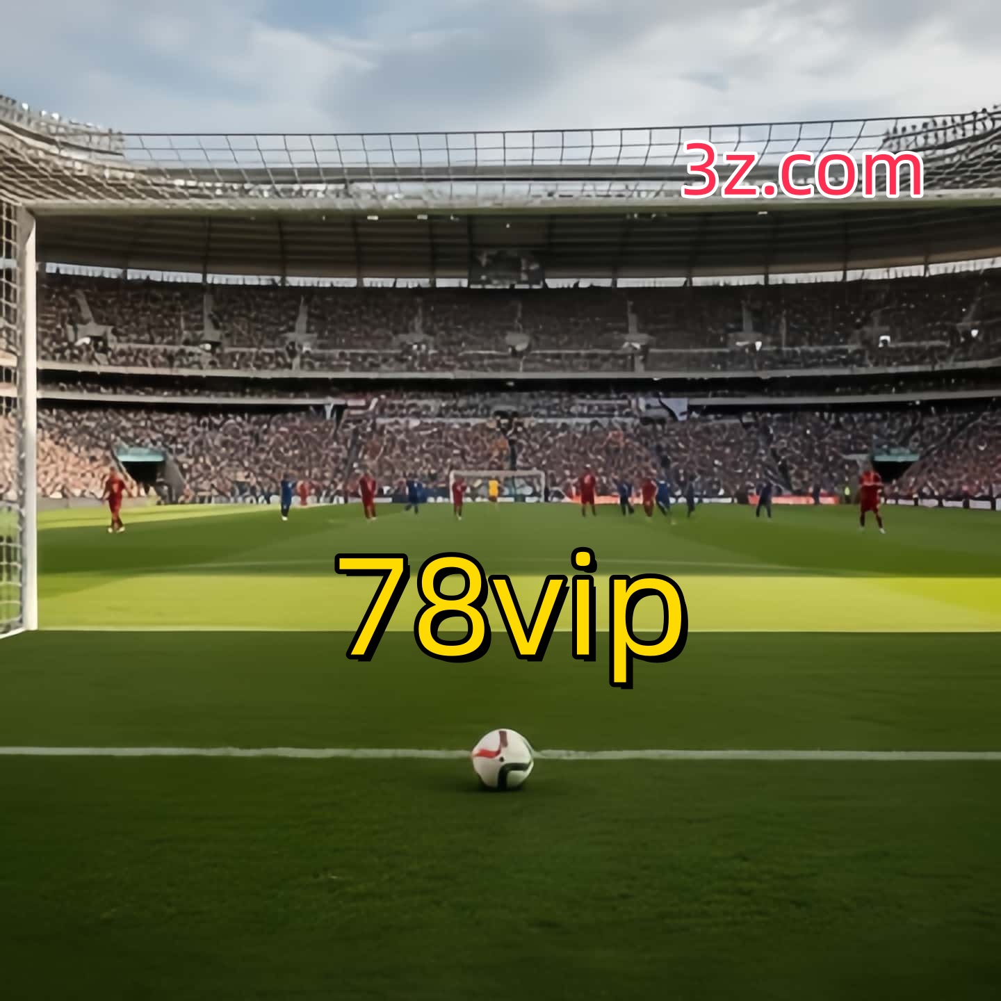 78vip